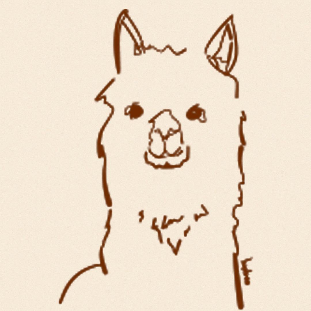 Alpaca Collections