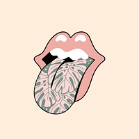 The Plant Bar Co.